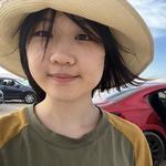 Linlin Li (李林霖)